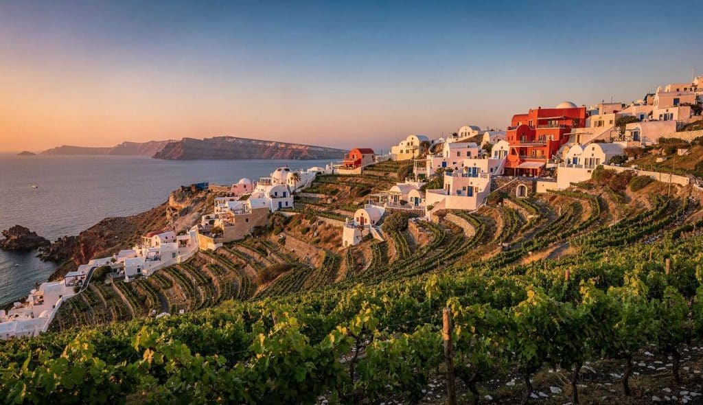 Santorin: trésors viticoles
