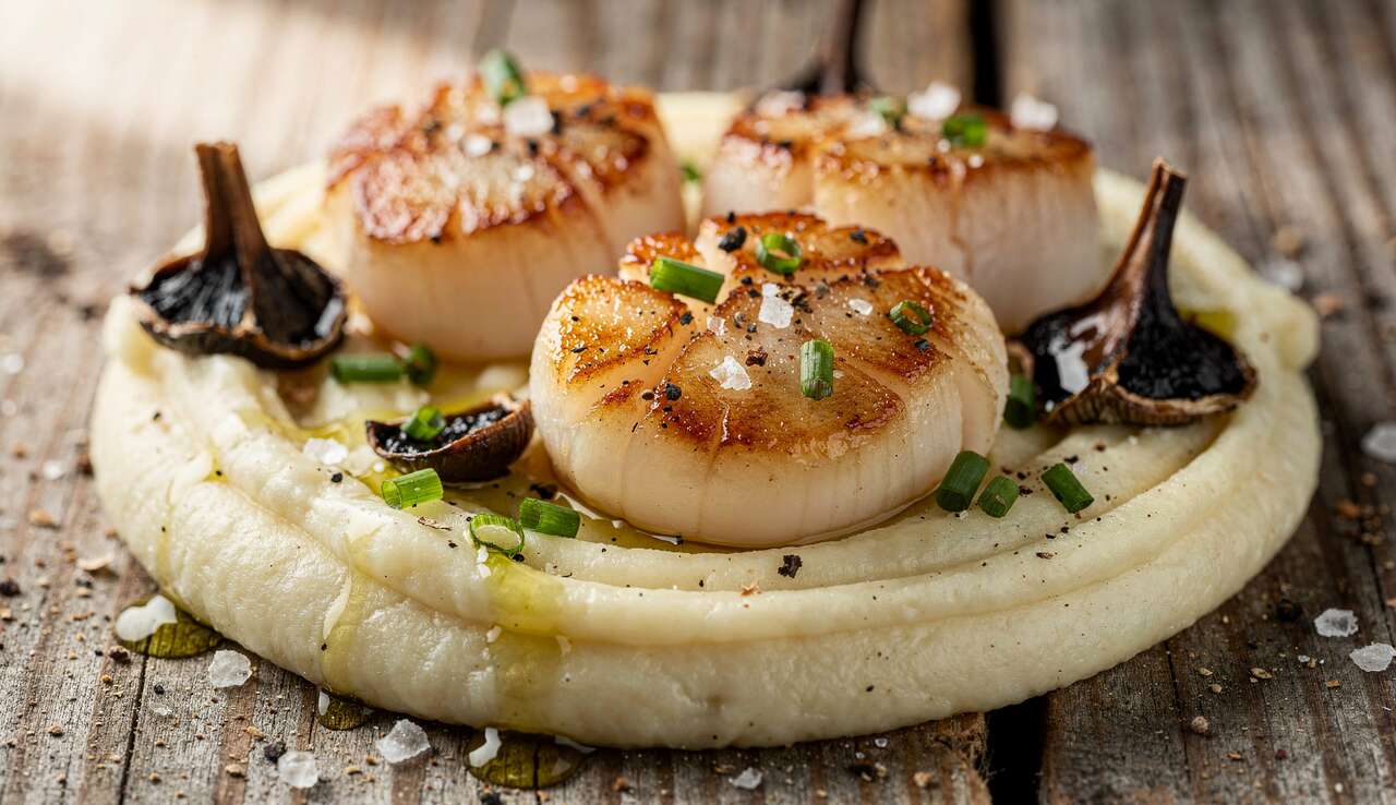 Saint-Jacques sur Purée de Topinambours à l'Ail Noir : recette Gourmande