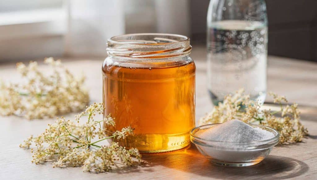 Recette : sirop de fleurs de sureau maison