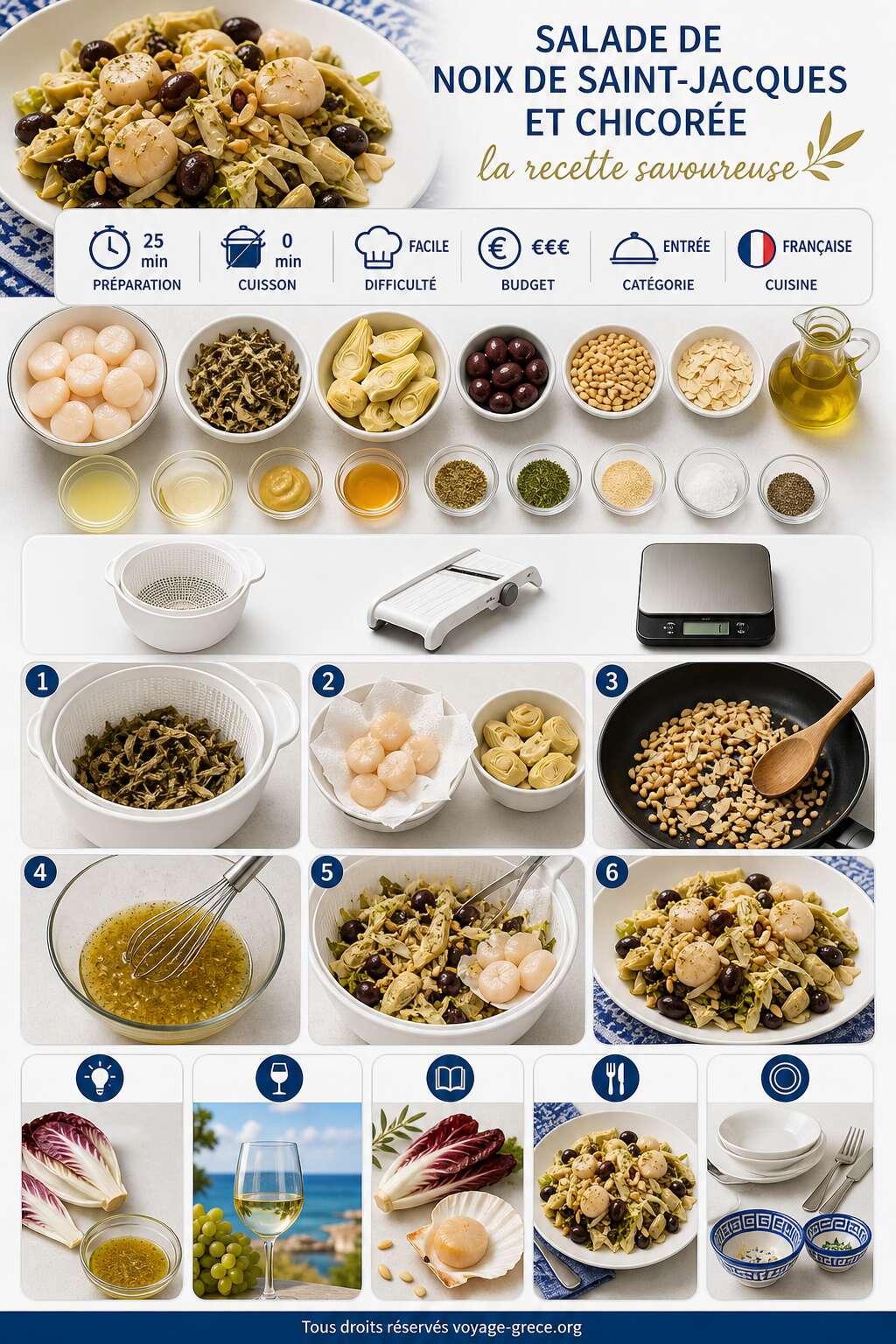 Fiche recette Salade de noix de Saint-Jacques et chicor&eacute;e : la recette savoureuse
