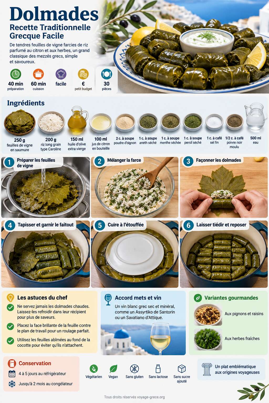 Fiche recette Dolmades : recette Traditionnelle Grecque Facile